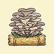 Planta