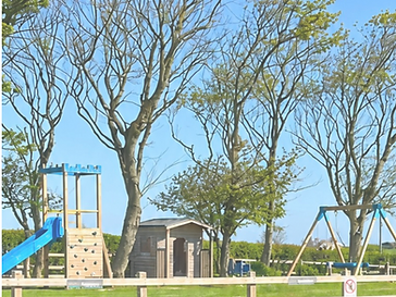 Wooden play frame and swings in the outdoor playground at Two Twenty coffee house, Portrush