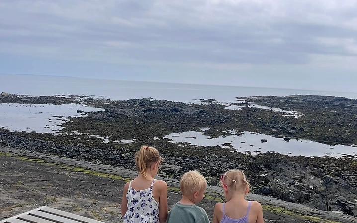 Donaghadee Seafront & Lemons Wharf photo 1