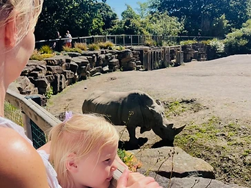 Dublin Zoo