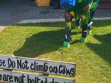 Carrickfergus Urban Farm