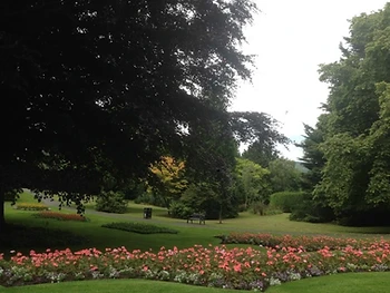 Musgrave Park