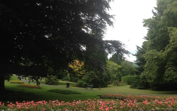 Musgrave Park