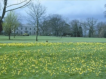 Barnett Demesne