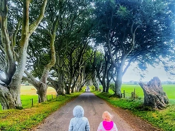 The Dark Hedges