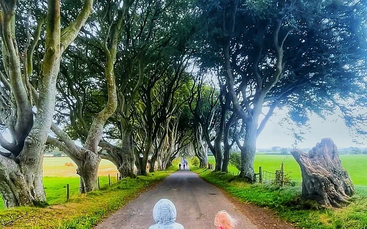 The Dark Hedges