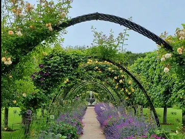 Bangor Castle Walled Garden