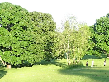 Palace Demesne Public Park