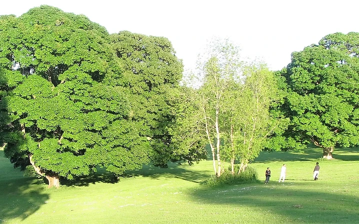 Palace Demesne Public Park