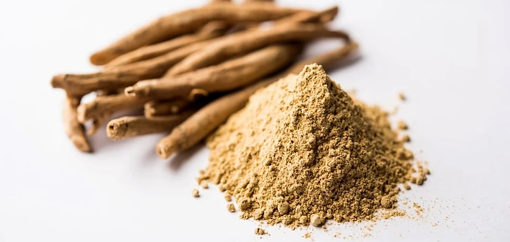Nos plantes — Withania somnifera