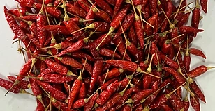 Piment oiseau (pili-pili)