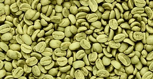 Café vert