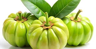 Garcinia