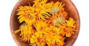 Calendula/Marigold