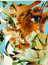 Collage 14
