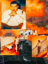 Collage 12
