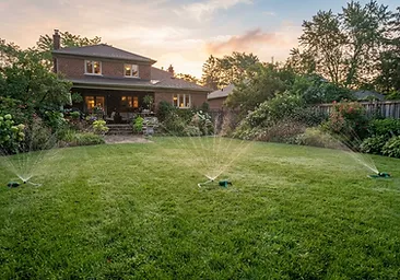 Healthy lawn being watered by irrigation sprinklers at dawn in a Lowcountry neighborhood