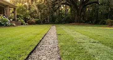 Newly installed French drain with clean gravel and perforated pipe in a southern Lowcountry yard with Spanish moss-draped live oak trees in the background