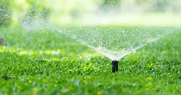 Pop-up sprinkler head actively watering a lush green lawn with a fine mist of water droplets
