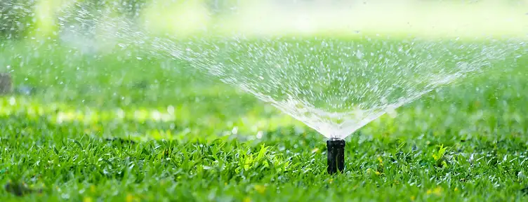 Pop-up sprinkler head watering a healthy Lowcountry lawn with a fine mist of water droplets