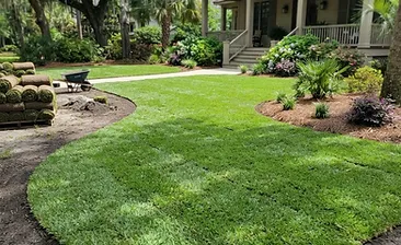 Fresh green sod installed in a newly landscaped Nexton backyard