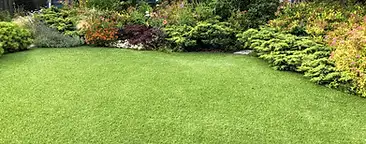 Healthy green Lowcountry lawn with irrigated turf and landscaped beds