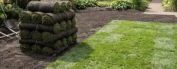 Fresh sod being unrolled and installed on a prepared residential lawn in a South Carolina Lowcountry neighborhood