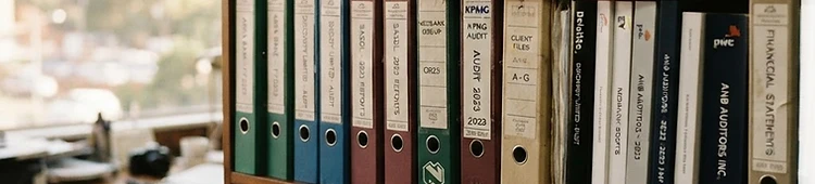 Auditing practice for sale in South Africa