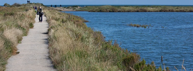 Coastal walks & rambles