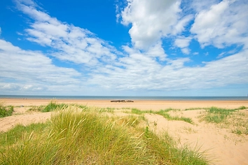Titchwell beach with grassy dunes under a wide blue sky