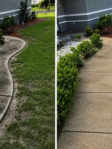 Pressure washing project 3