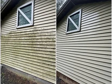 Siding Soft Wash exterior cleaning project