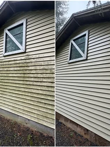 Pressure washing project 2