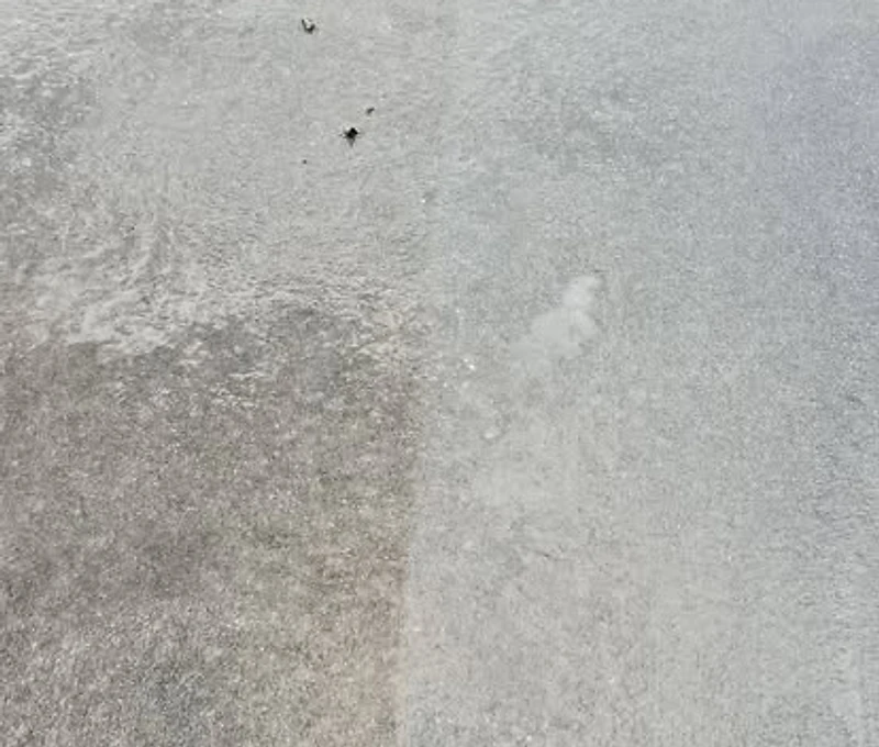 Freshly cleaned exterior property