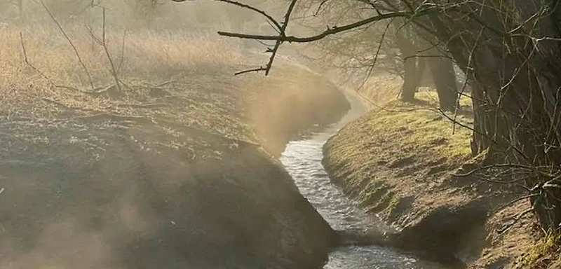 De Grote Molenbeek in de vroege ochtendnevel