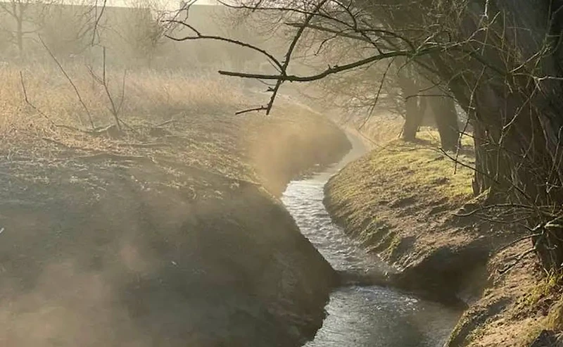 De Grote Molenbeek in de vroege ochtendnevel
