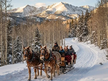 Golden Horseshoe Sleigh Rides — activities