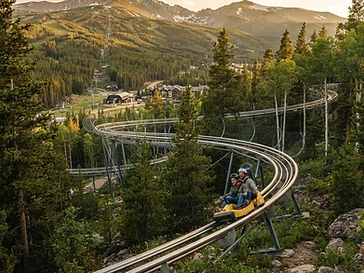 Gold Runner Alpine Coaster — attractions