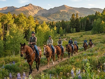 Breckenridge Stables — activities