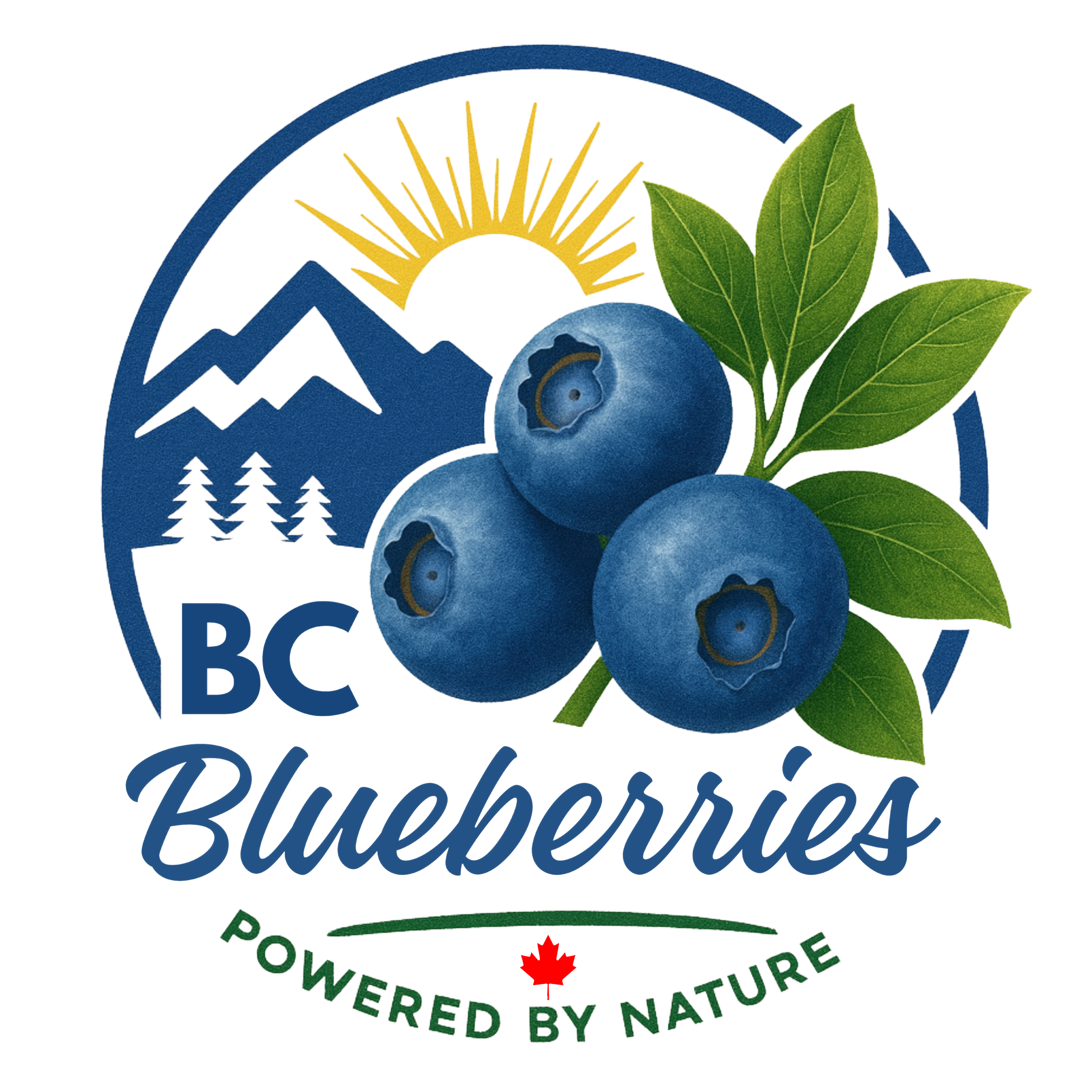 BC Blueberries logo
