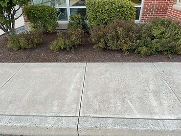 Mulching - Maniacs Landscaping commercial service