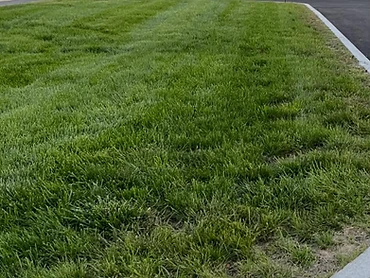 Commercial Mowing - Maniacs Landscaping commercial service