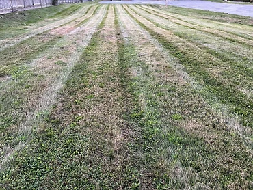 Commercial Mowing - Maniacs Landscaping commercial service