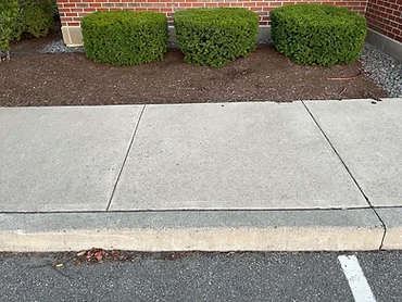 Mulching - Maniacs Landscaping commercial service