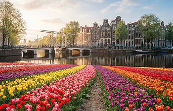 Holanda, Bélgica & França