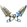 Blades