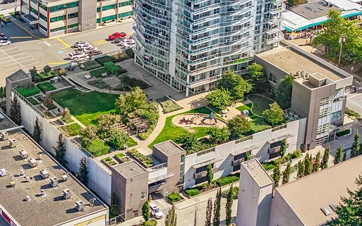 Community gardens aerial view