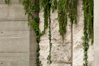 Simplicity 1