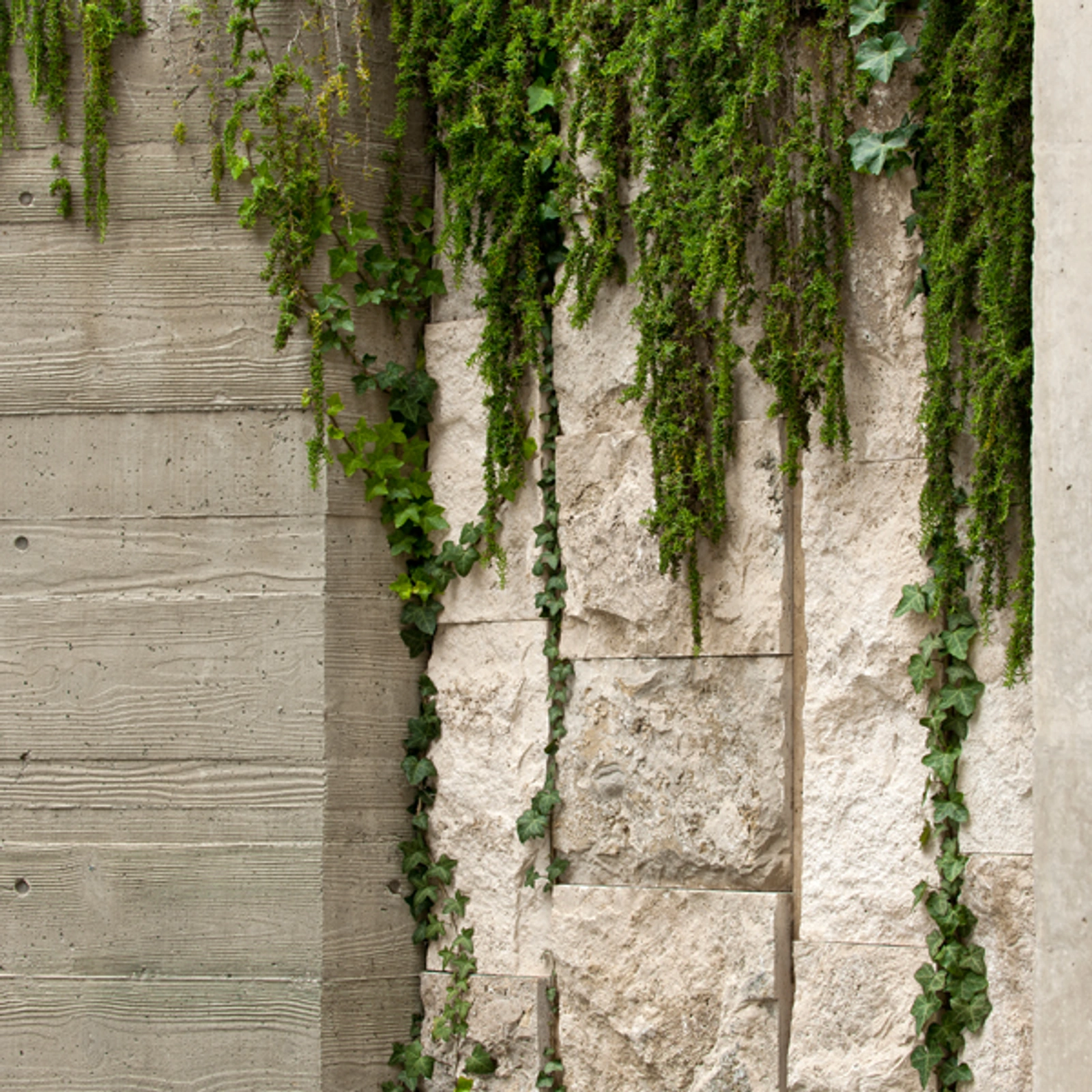 Gardens anchoring the architecture to the hillside