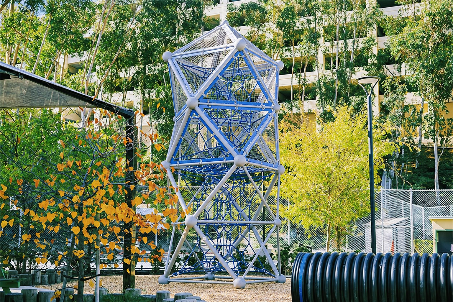 Innovations Academy 6